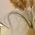 Urban Charme ゲストハウス ベルガモ